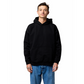 9005 PREM HVYWHT ADULT FSHN HOODIE